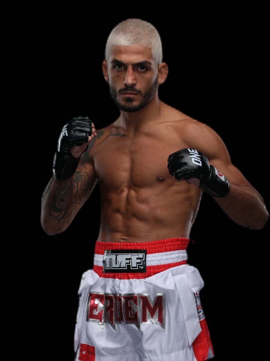 Erdem Dincer